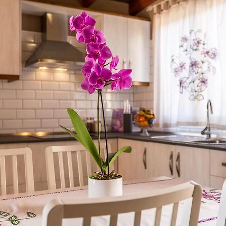 Casa Quintana - Apartamento Carla Tijarafe Exteriér fotografie